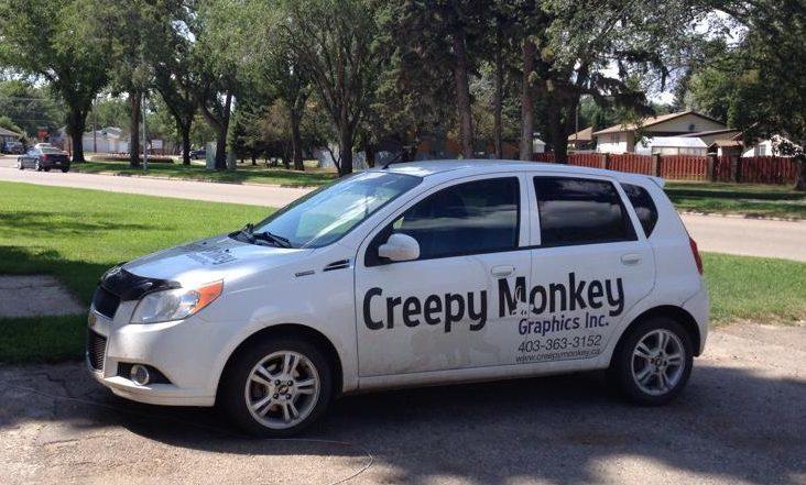 Creepy Monkey Car
