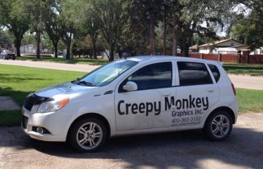 Creepy Monkey Car