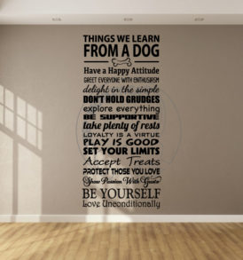 things_we_learn_from_dogs