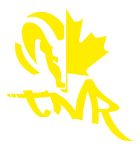 TNR_Onsie_yellow